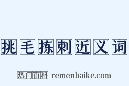 挑毛拣刺近义词是什么意思的图片